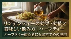 リンデンティーの効果・効能と美味しい飲み方｜ハーブティー初心者にもおすすめの理由